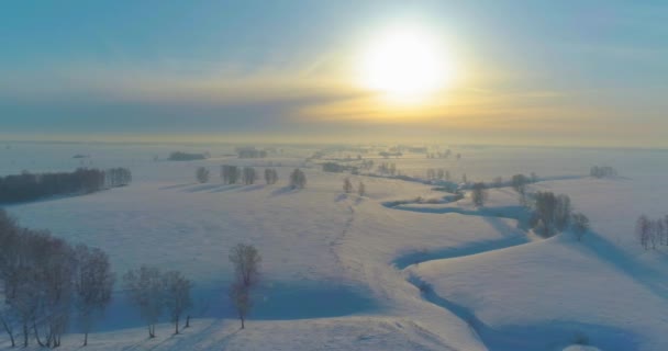 冷たい冬の風景北極フィールドの空中ビュー、木々の霜雪で覆われ、氷の川や水平線上に太陽の光。極端な低温の天候. — ストック動画