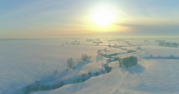 Vista aérea del frío paisaje invernal del campo ártico, árboles cubiertos de nieve helada, ríos de hielo y rayos de sol sobre el horizonte. Clima de baja temperatura extrema. — Vídeo de stock