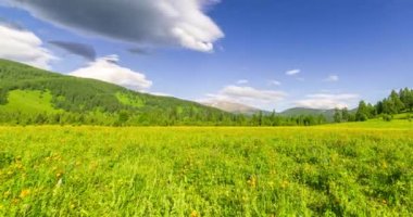 Yaz ya da sonbahar mevsiminde dağdaki çayır zaman atlaması. Vahşi doğa ve kırsal alan. Bulutlar hareket ediyor, yeşil çimenler ve güneş ışınları