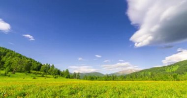 Yaz ya da sonbahar mevsiminde dağdaki çayır zaman atlaması. Vahşi doğa ve kırsal alan. Bulutlar hareket ediyor, yeşil çimenler ve güneş ışınları