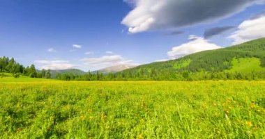 Yaz ya da sonbahar mevsiminde dağdaki çayır zaman atlaması. Vahşi doğa ve kırsal alan. Bulutlar hareket ediyor, yeşil çimenler ve güneş ışınları