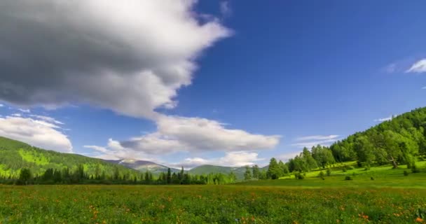 山の牧草地の時間は、夏や秋の時間での経過。野生の自然と農村のフィールド。雲の動き、緑の草と太陽の光線 — ストック動画
