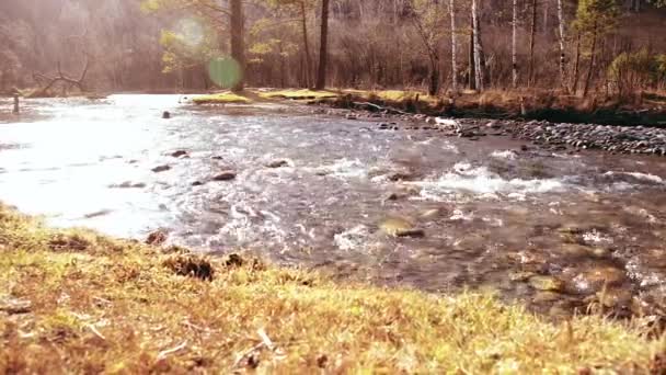Η Ντόλι τράβηξε το νερό που πιτσιλούσε σε ένα ποτάμι κοντά στο δάσος. Υγρά βράχια και ακτίνες του ήλιου. Οριζόντια σταθερή κίνηση. — Αρχείο Βίντεο