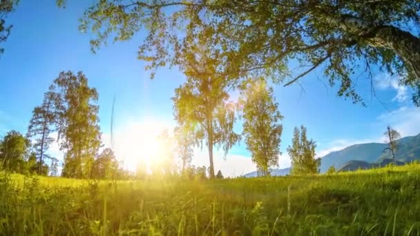 Mountain meadow time-lapse at the summer or autumn time. Wild nature and rural field. Motorised slider dolly movement. — Stock Video