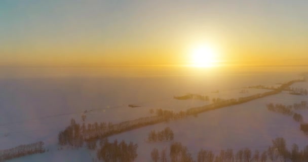 Vue aérienne par drone du paysage hivernal froid avec champ arctique, arbres couverts de neige verglaçante et rayons du soleil matinaux au-dessus de l'horizon. — Video