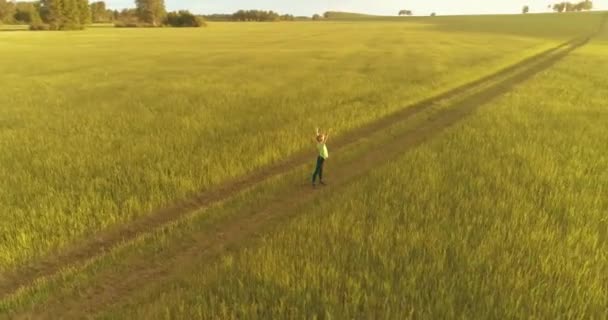 Yeşil buğday tarlasında elleri havada duran sportif çocuk. Kırsal çayırlarda akşam sporu alıştırmaları. Mutlu bir çocukluk sağlıklı bir yaşam biçimidir. Radyal panorama hareketi, güneş ışınları ve... — Stok video