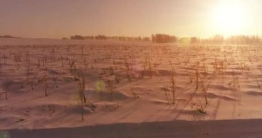 Arktik çayırlı soğuk kış manzarası, karla kaplı ağaçlar ve ufukta sabah güneşleri..