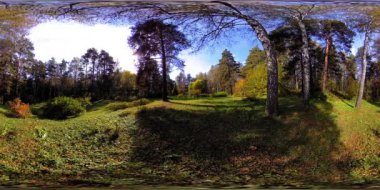 Bir şehir parkının UHD 4K 360 VR Sanal Gerçekliği. Sonbaharda ya da yaz gününde ağaçlar ve yeşil çimenler