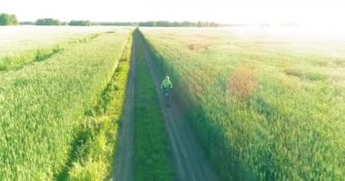 Kırsal yoldaki bir çim tarlasında bisiklet süren genç bir çocuğun hava manzarası. Güneş ışığı ve ışınlar.