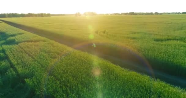 Vista aérea sobre o menino, que monta uma bicicleta através de um campo de grama de trigo na antiga estrada rural. Luz solar e vigas. — Vídeo de Stock