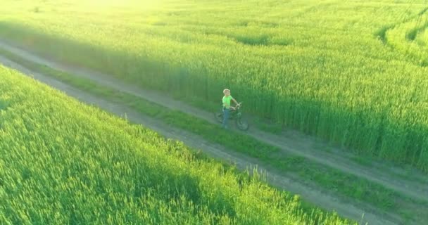 Vue aérienne sur le jeune garçon, qui monte à vélo à travers un champ d'herbe de blé sur la vieille route rurale. Lumière du soleil et rayons. — Video