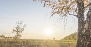 Yazın ya da sonbaharda çayır zamanlaması. Kırsal alan cadısı güneş ışınları, ağaçlar ve yeşil çimenler. Gün batımında motorlu doli kaydırıcı