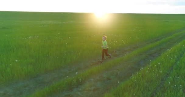 연약 한 어린이가 푸른 밀밭을 거니고 있다. 시골 초원에서의 야간 스포츠 훈련. 행복 한 어린 시절은 건전 한 생활 방식이다. 광선의 이동, 태양 광선 및 풀. — 비디오