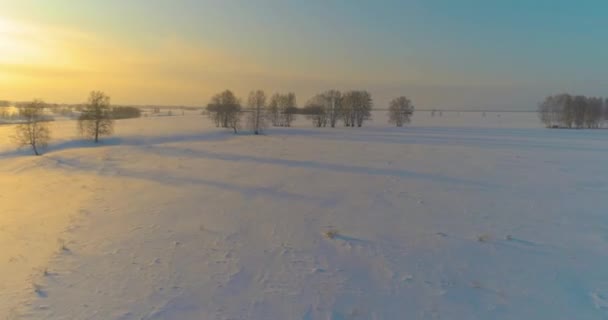 Widok z powietrza zimnego arktycznego krajobrazu pola, drzew z mrozem śniegu, rzeki lodu i promieni słonecznych na horyzoncie. Ekstremalnie niska temperatura. — Wideo stockowe