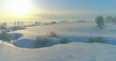 Soğuk kış manzarası kutup bölgesi, karla kaplı ağaçlar, ufukta buz nehri ve güneş ışınları. Aşırı düşük sıcaklık havası.