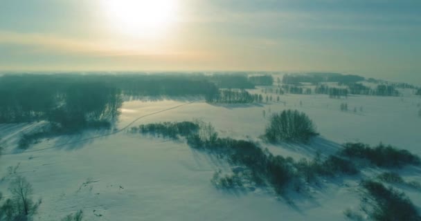 Luftaufnahme der kalten Winterlandschaft arktisches Feld, Bäume mit Frost Schnee, Eis Fluss und Sonnenstrahlen über Horizont bedeckt. Extrem niedrige Temperaturen. — Stockvideo