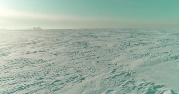 空中俯瞰寒冷的冬季风景，北极田野，覆盖着霜雪、冰河和地平线上的太阳光的树木。极端低温天气. — 图库视频影像