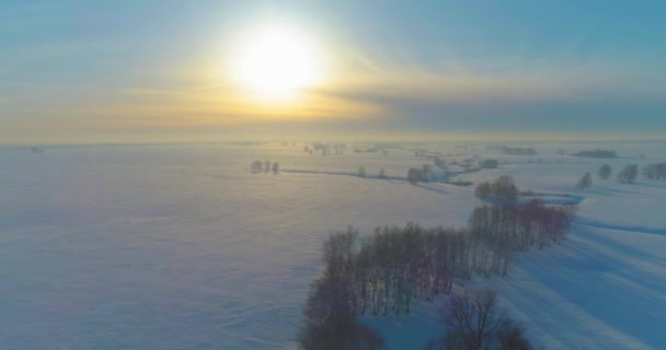 Vista aerea del freddo paesaggio invernale campo artico, alberi coperti di neve gelata, fiume ghiaccio e raggi solari all'orizzonte. Clima estremo a bassa temperatura. — Video Stock