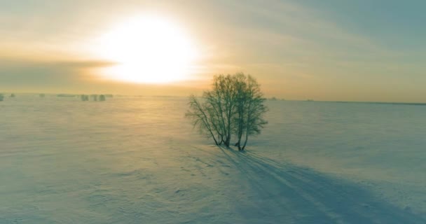 Luftaufnahme der kalten Winterlandschaft arktisches Feld, Bäume mit Frost Schnee, Eis Fluss und Sonnenstrahlen über Horizont bedeckt. Extrem niedrige Temperaturen. — Stockvideo