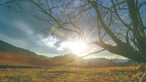 Lapso de tempo da árvore da morte e grama amarela seca na paisagem montanhosa com nuvens e raios de sol. Movimento deslizante horizontal — Vídeo de Stock