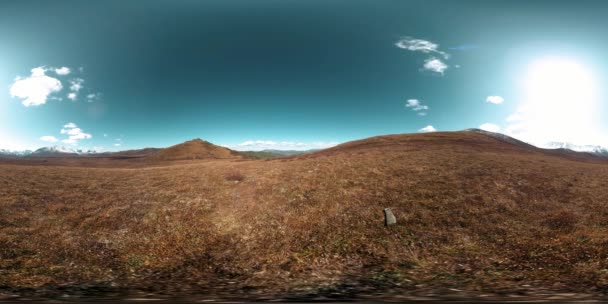 360 VR of hill meadow timelapse at the summer or autumn time. Wild endless nature and rural field. Sun rays over green grass. — Stock Video