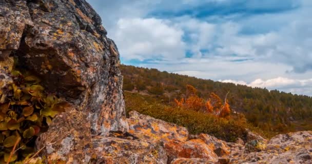 Mountain Lake time-lapse w okresie letnim lub jesiennym. Dzika przyroda i wiejskie pole. Ruch chmur, zielona trawa i dramatyczne niebo. Suwak z wózkiem silnikowym — Wideo stockowe