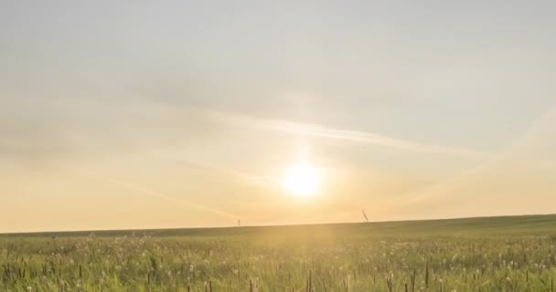 Heuvelweide tijdspanne in de zomer of herfst. Wilde eindeloze natuur en platteland. Zonnestralen over groen gras. Gemotoriseerde dolly slider beweging — Stockvideo