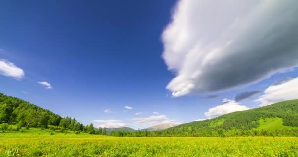 Время на горном лугу летом или осенью. Дикая природа и сельское поле. Движение облаков, зеленая трава и солнечные лучи — стоковое видео