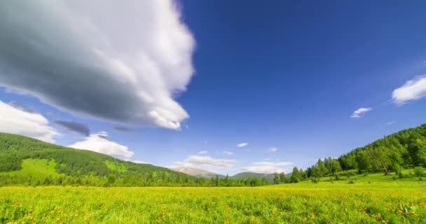 Górskie łąki czas-lapse w okresie letnim lub jesiennym. Dzika przyroda i wiejskie pole. Ruch chmur, zielona trawa i promienie słoneczne — Wideo stockowe