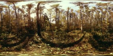 Bir şehir parkının UHD 4K 360 VR Sanal Gerçekliği. Sonbaharda ya da yaz gününde ağaçlar ve yeşil çimenler