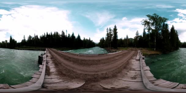 360 VR realidad virtual de un bosque salvaje. Bosque de pinos, pequeño río de montaña rápido y frío. Parque Nacional. — Vídeo de stock