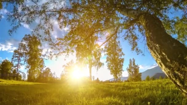 Pré-montagne time-lapse à l'heure d'été ou d'automne. Nature sauvage et champ rural. Mouvement motorisé poupée coulissante . — Video