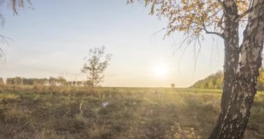 Yazın ya da sonbaharda çayır zamanlaması. Kırsal alan cadısı güneş ışınları, ağaçlar ve yeşil çimenler. Gün batımında motorlu doli kaydırıcı