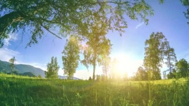 Yaz veya sonbahar aylarında dağ çayır zaman atlamalı. Vahşi doğa ve kırsal alan. Motorlu sürgü dolly hareketi.