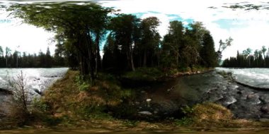 Vahşi bir ormanın 360 VR sanal gerçekliği. Çam ormanı, küçük, hızlı, soğuk dağ nehri. Ulusal park.