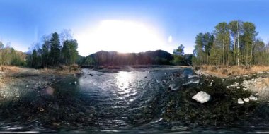Vahşi dağların, çam ormanlarının ve nehir akışlarının 360 VR sanal gerçekliği. Ulusal park, çayır ve güneş ışınları.