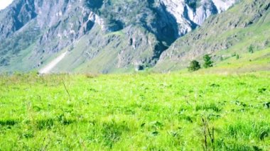 Sırt çantası ile yeşil dağ çayır üzerinde yürüyen adam hiking. Yaz spor ve eğlence kavramı.