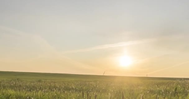 Timelapse de la prairie Hill en été ou en automne. Nature sauvage sans fin et champ rural. Rayons de soleil sur l'herbe verte. Mouvement de glissière de poupée motorisée — Video