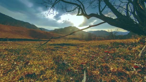 Ölüm ağacı ve dağlık arazide bulutlu ve güneş ışınlı kuru sarı çimenler. Yatay kaydırma hareketi — Stok video