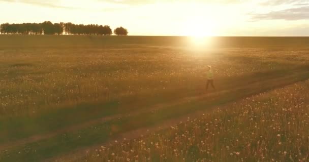 Sportigt barn springer genom ett grönt vetefält. Kvällsträning på landsbygden. En lycklig barndom är ett hälsosamt sätt att leva. Radiella rörelser, solstrålar och gräs. — Stockvideo