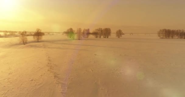 Luchtfoto van het koude arctische veld landschap, bomen met vorst sneeuw, ijsrivier en zonnestralen over de horizon. Extreem lage temperatuur weer. — Stockvideo