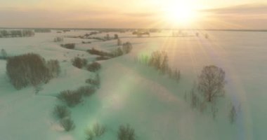Soğuk arktik alan manzarası, karlı ağaçlar, buz nehri ve ufukta güneş ışınları. Aşırı düşük sıcaklık havası.