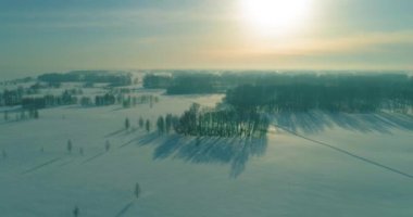 Soğuk kış manzarası kutup bölgesi, karla kaplı ağaçlar, ufukta buz nehri ve güneş ışınları. Aşırı düşük sıcaklık havası.