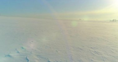 Soğuk kış manzarası kutup bölgesi, karla kaplı ağaçlar, ufukta buz nehri ve güneş ışınları. Aşırı düşük sıcaklık havası.