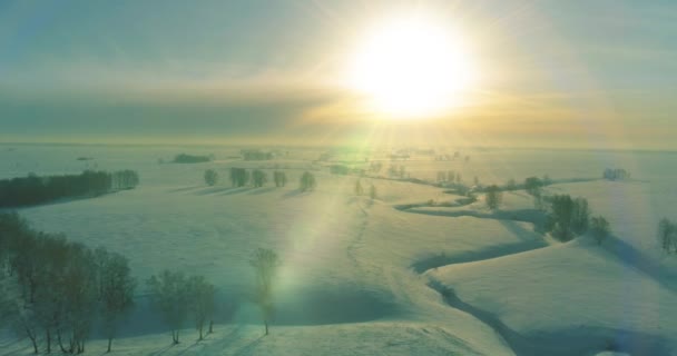 Vista aérea da paisagem fria inverno campo ártico, árvores cobertas com neve geada, rio de gelo e raios de sol sobre o horizonte. Tempo extremo de baixa temperatura. — Vídeo de Stock