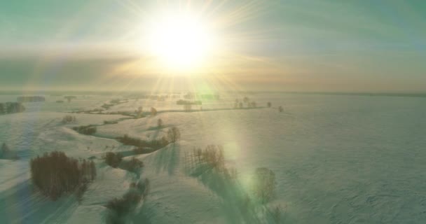 Vue aérienne du paysage hivernal froid champ arctique, arbres recouverts de neige verglaçante, rivière de glace et rayons du soleil sur l'horizon. Conditions météorologiques extrêmes à basse température. — Video