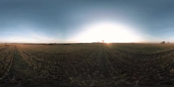 Vista aérea 360. Vuelo bajo sobre el paisaje rural de verano con campo verde sin fin en la soleada noche de otoño. Rayos de sol en el horizonte. Movimiento horizontal rápido. Estabilizado y parcheado. — Vídeos de Stock