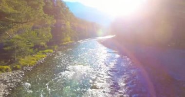 Güneşli yaz sabahında kayalarla birlikte taze, hızlı dağ nehri üzerinde alçak irtifa uçuşu..