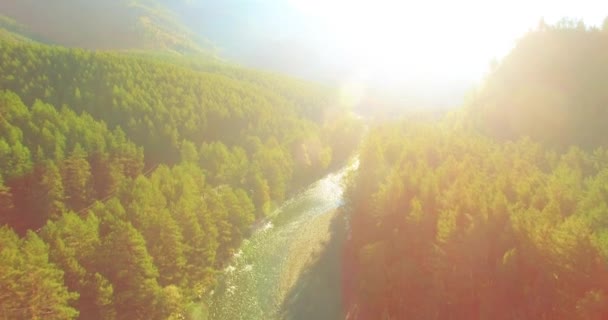 Vol à basse altitude au-dessus d'une rivière de montagne fraîche et rapide avec des rochers au soleil matin d'été. — Video