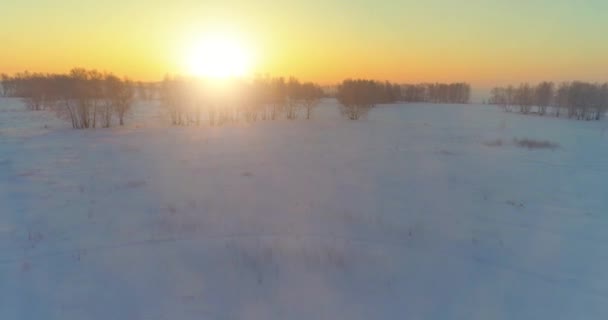 Aerial drone kilátás hideg téli táj sarkvidéki területen, fák borított fagy hó és reggeli napsugarak horizonton. — Stock videók